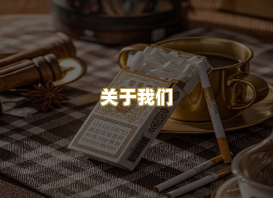 关于我们